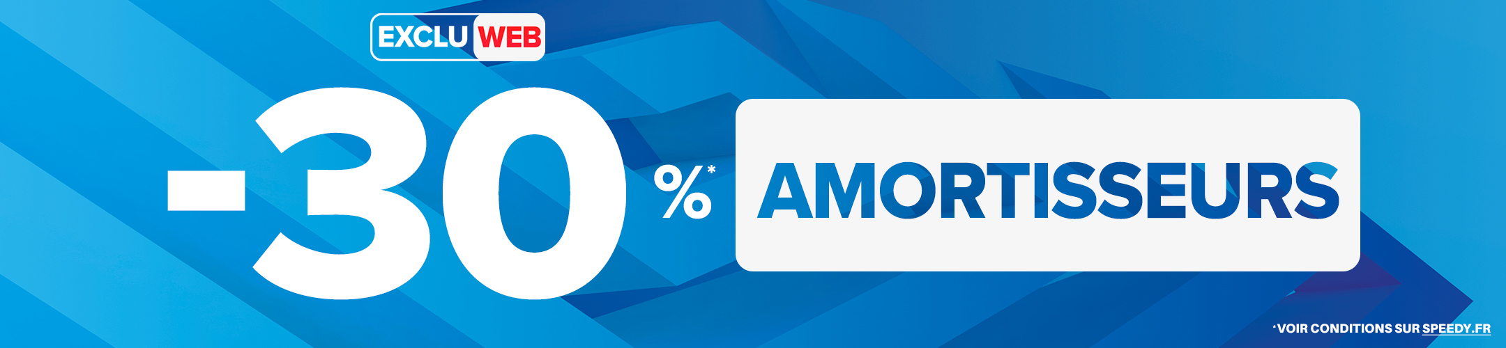 Exclu Web : -30% sur les amortisseurs *